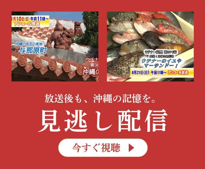 放送後も、沖縄の記憶を。見逃し配信を今すぐ視聴